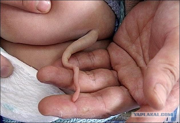 Любите ли вы часы наручные?