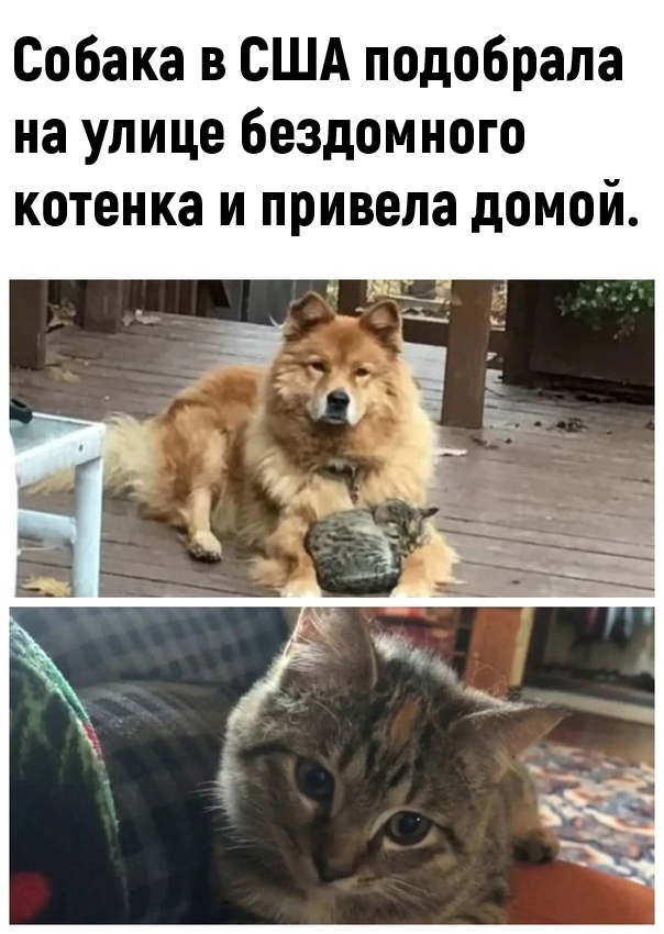 Так себе картинки 09.02.22