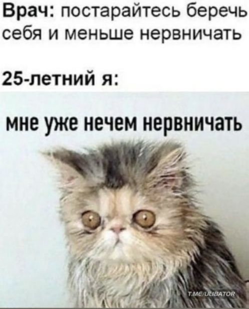 Баянисто-небаянистый юмор 9.03.22