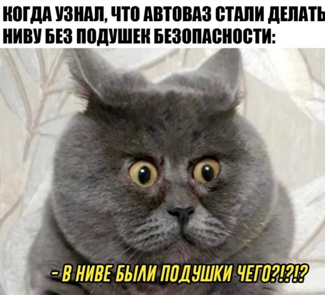Картинки и мемы для настроения. Выходные скоро