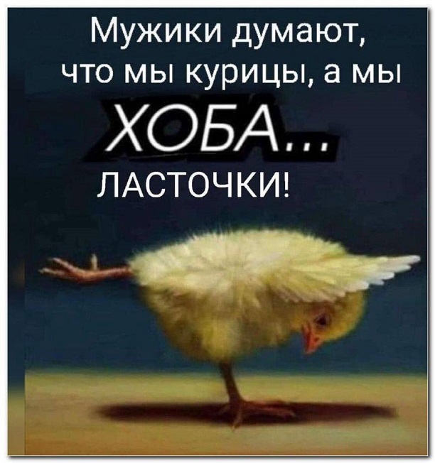 Пандемия съехавших крыш - разновидности болезни. Россия и мир. Часть 40.