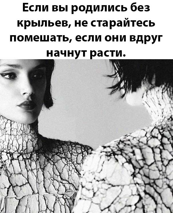 Так себе картинки 19.11.22