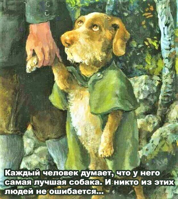 Псу подарили вторую жизнь