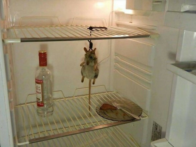 Холодильник наш друг