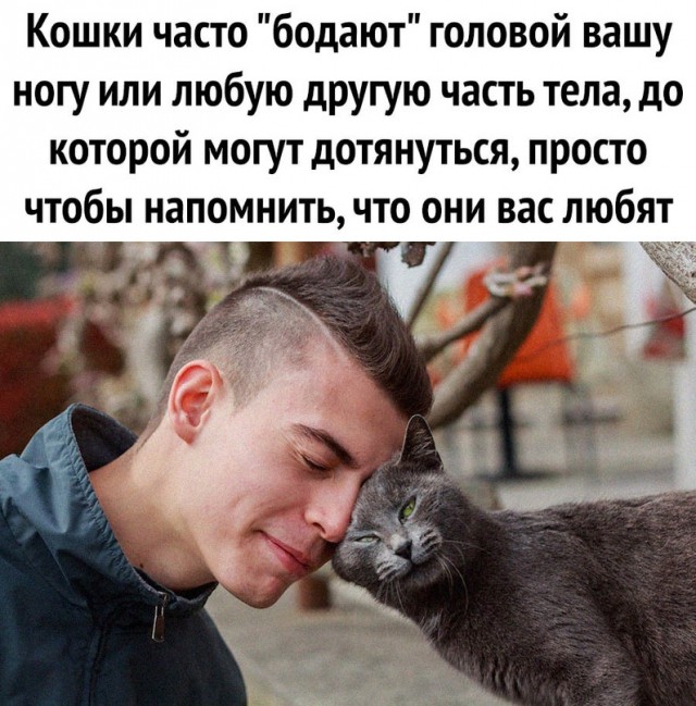 Немного картинок для настроения - 161