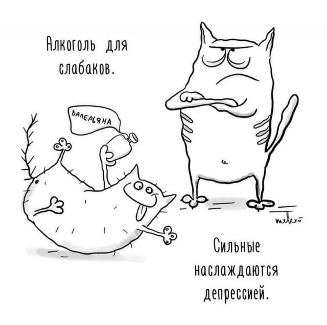 Картинки и мемы, это май-чародей всяко разно - 177
