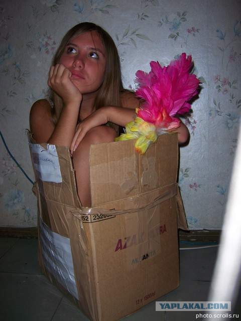 Все котики делают это