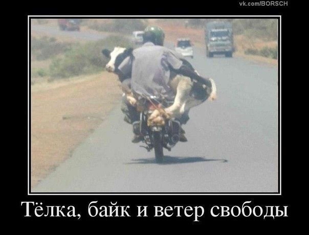 Немного юмора городским от деревенских