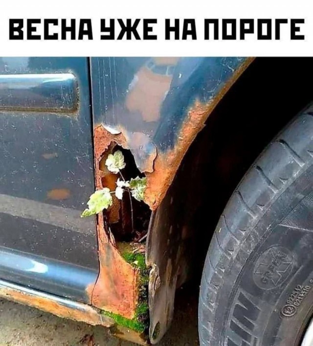Деградильня