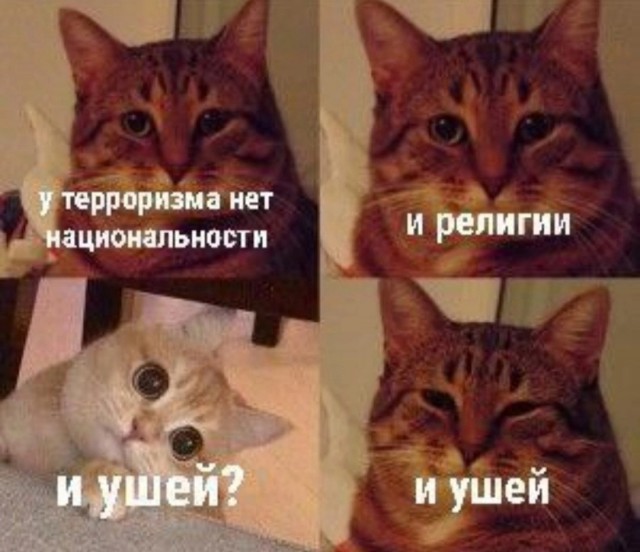 Нападавших на «Крокус» привезли на допрос