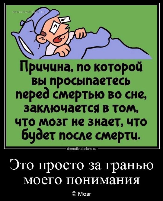 Подборка интересных фактов на все случаи жизни