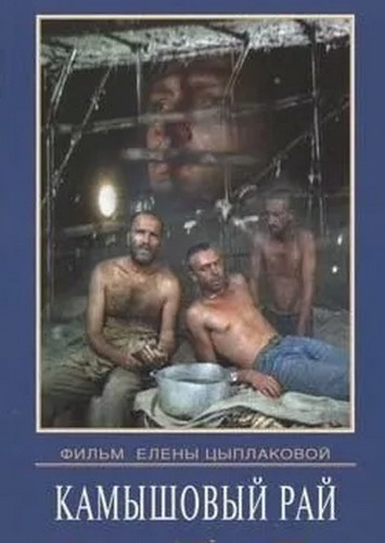 Ферму, где держат в рабстве людей, накрыли в Ростовской области