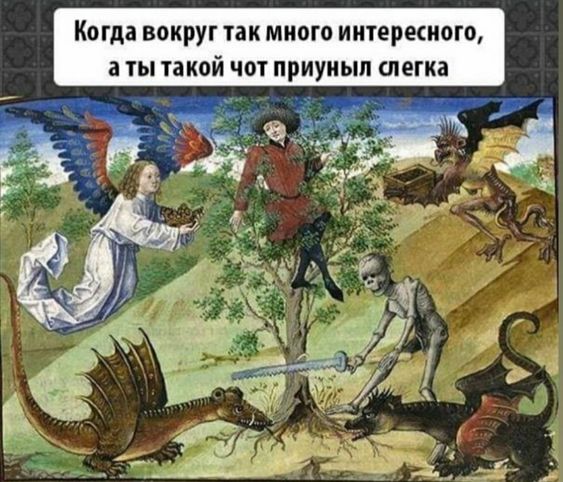 Прикольные и просто красивые картинки 29.10.2024