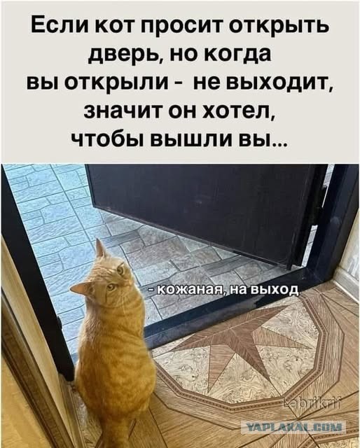 Забавные картинки, шутки из этих ваших интернетов