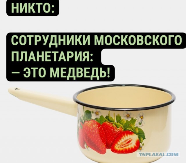 Веселые картинки в понедельник (17.02)