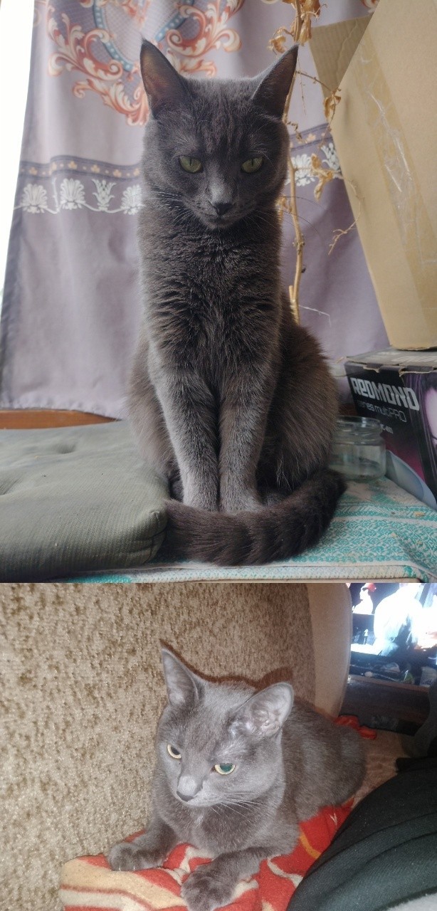Было — Стало