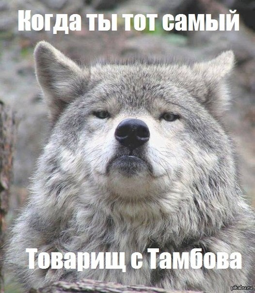 Запомним этого добряка