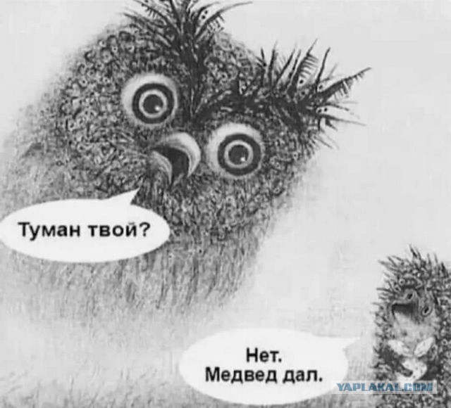 Веселые картинки _)