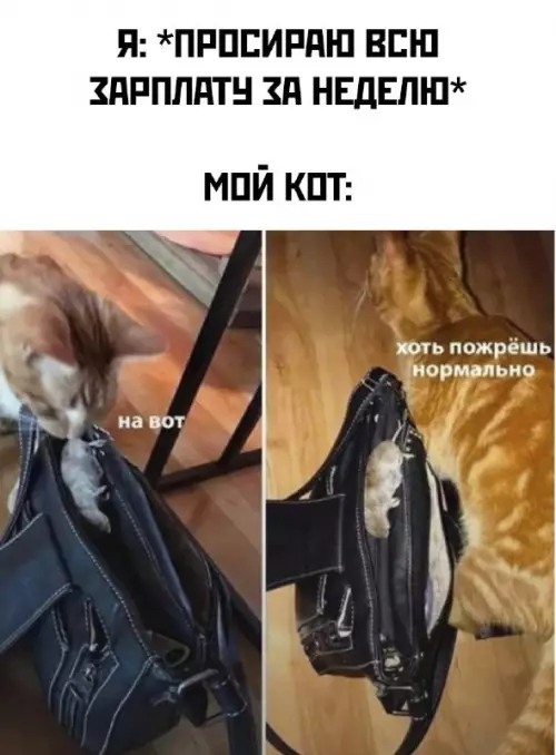 Картиночки, баянчики 09 марта