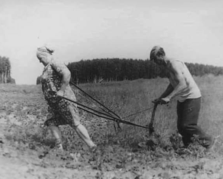 Парни выбирают толстеньких и ненакрашенных девушек, а красивых и ухоженных не замечают
