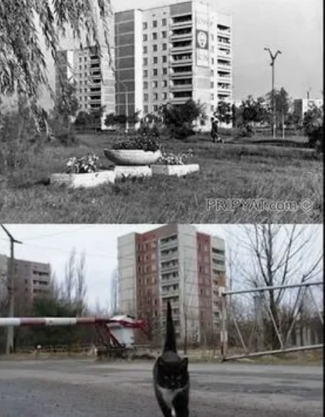 Фотографии из прошлого нашей страны – 139