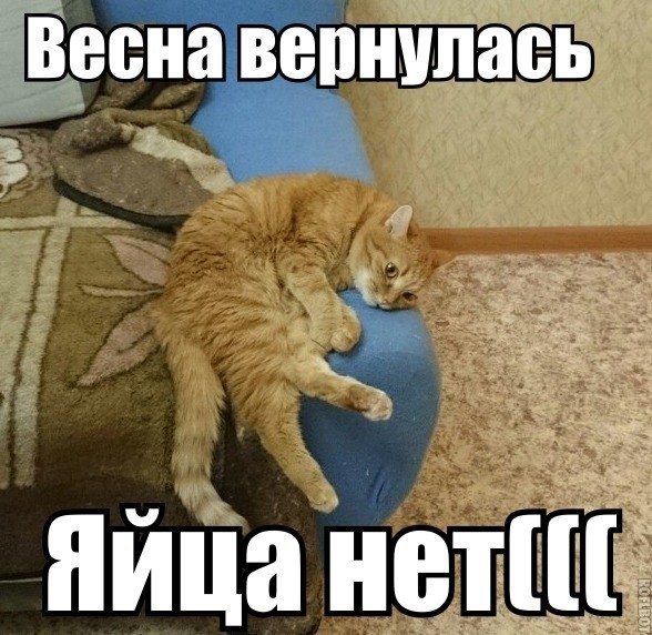 В Госдуме пригрозили Европе ударом «Орешником» по заводам БПЛА