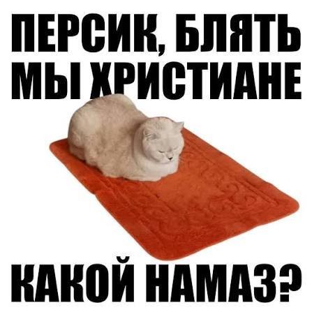 Корм