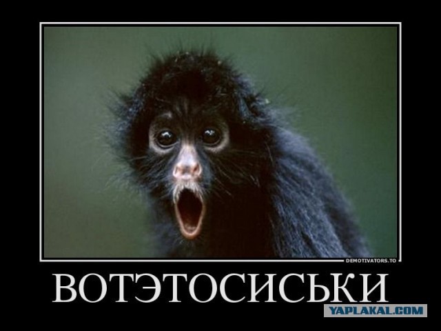 Необычные манекены в магазине нижнего белья