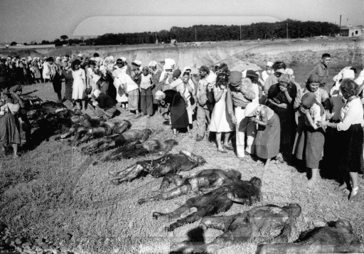 14 января 1944 фашисты убили в Оле 1758 человек