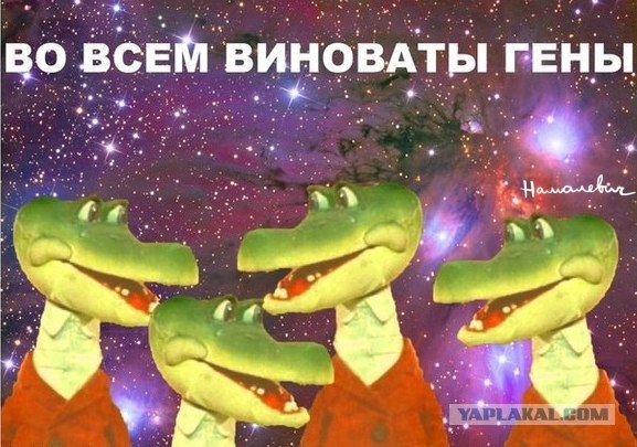 Передаю привет всем, кто за****ся