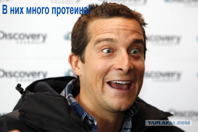 Постсоветская жизнь в ЕС, Латвия.