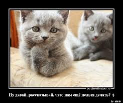 Не дай шанса вуайеристу