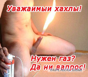 МВФ дал по щам Кролику