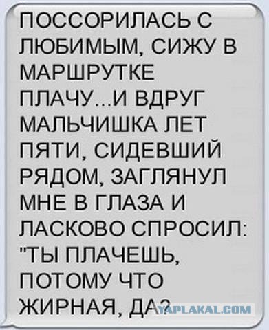 Подборка веселых картинок