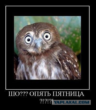 Весёлое из сети