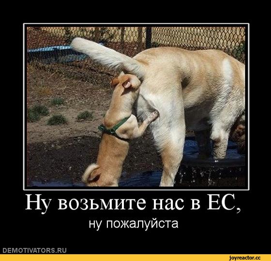 Глава HRW: Украине стоит признать свои ошибки