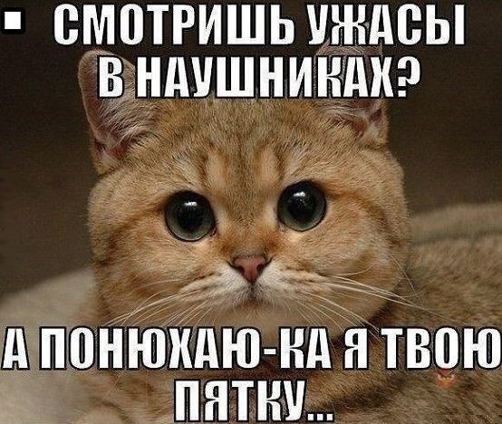 Обидели котейку? Получите, распишитесь!