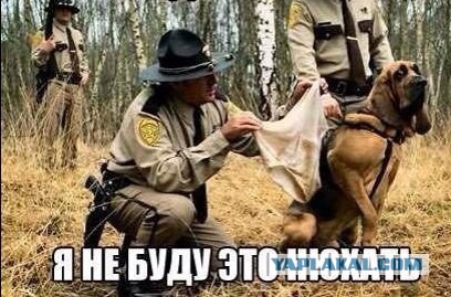 Забавные картинки из Сети