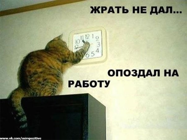 Улыбнёмся?:)