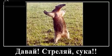 В Кремле насторожились из-за колебания курса рубля