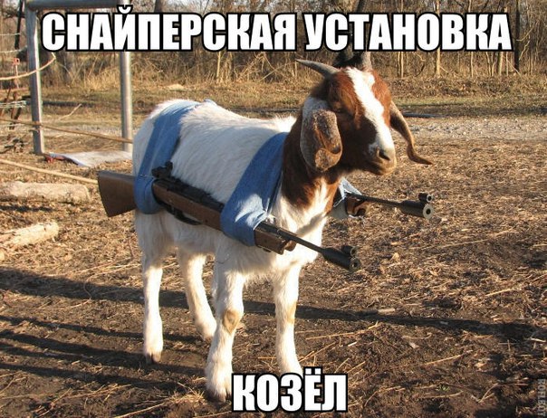 Веселые картинки