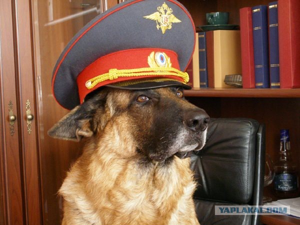 Подробности допроса убийцы ребенка Гюльчехры Бобокуловой