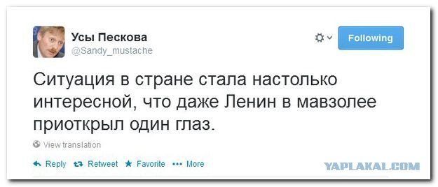 Дочь Пескова, хотевшая в этом году бросить МГУ, заявила о смерти образования в России