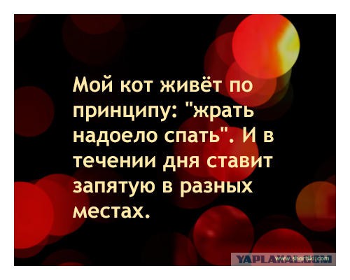Картинки, демотиваторы и прочие приколы с просторов необъятного