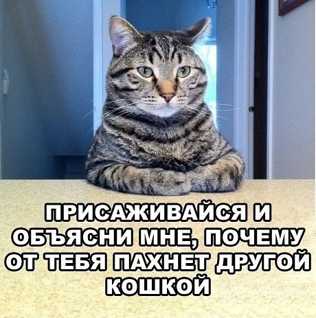 Интересные и смешные картинки!