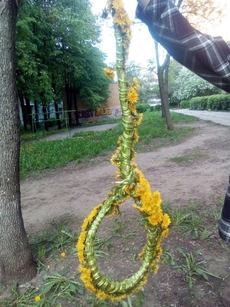 Подборка картинок