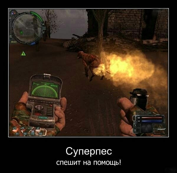 Фанатам игры С.Т.А.Л.К.Е.Р посвящается