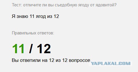 Предлагаю отвлечься и ответить на глупые вопросы в летнем тесте