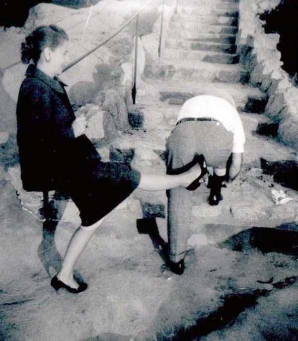 50 Hilarious (And Relatable) Dog Memes For National Dog Day Funny animal memes, 