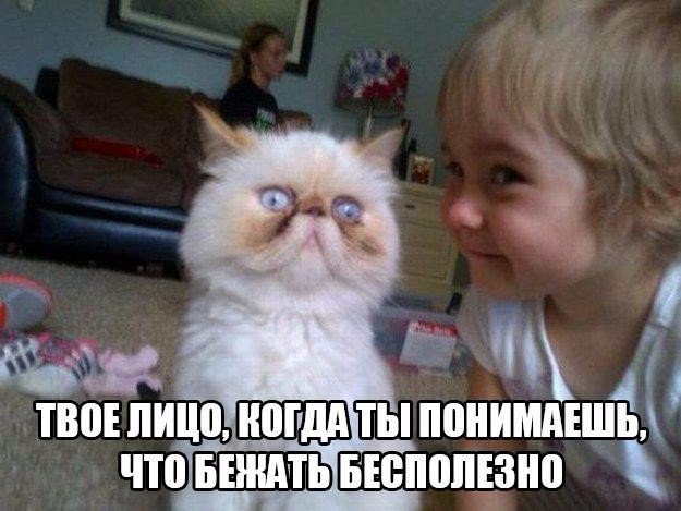 Порция картинок из сети
